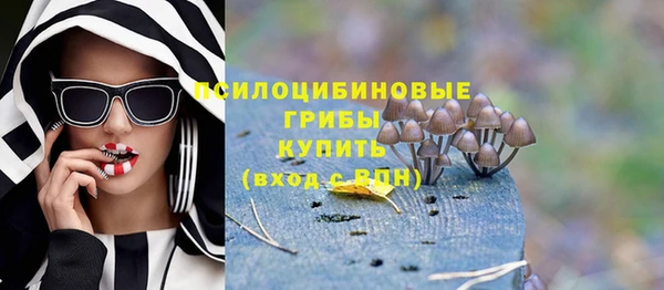 круглые Коряжма