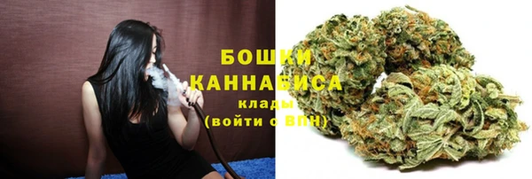 2c-b Краснослободск