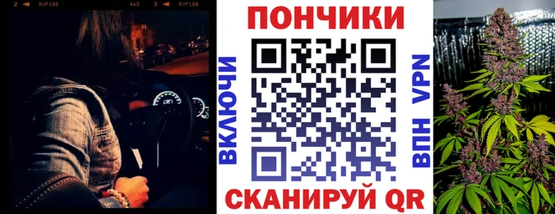 Каннабис OG Kush  Купить  Дигора 